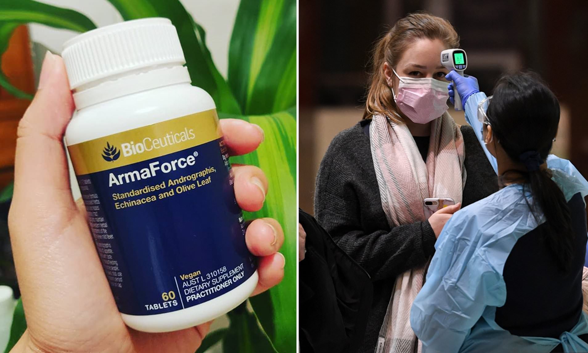 Armaforce Reviews Is Armaforce Legit?