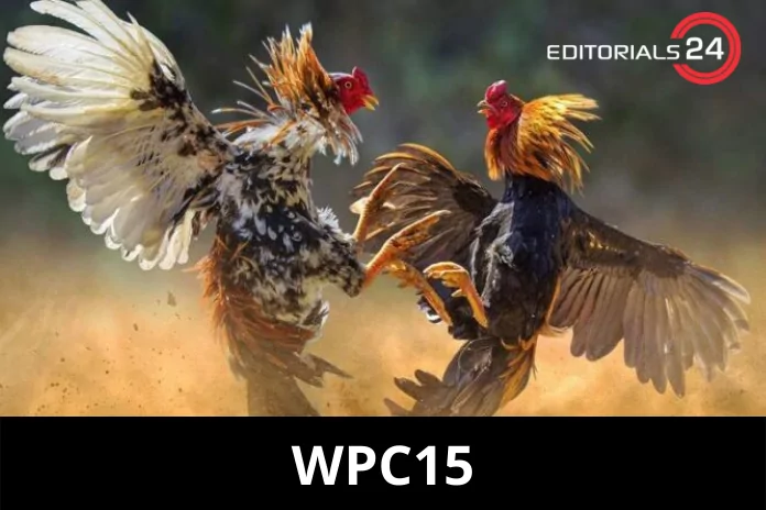 WPC15 login dashboard 1