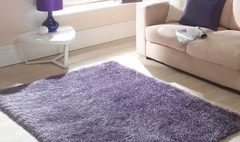 shaggy rugs for living room