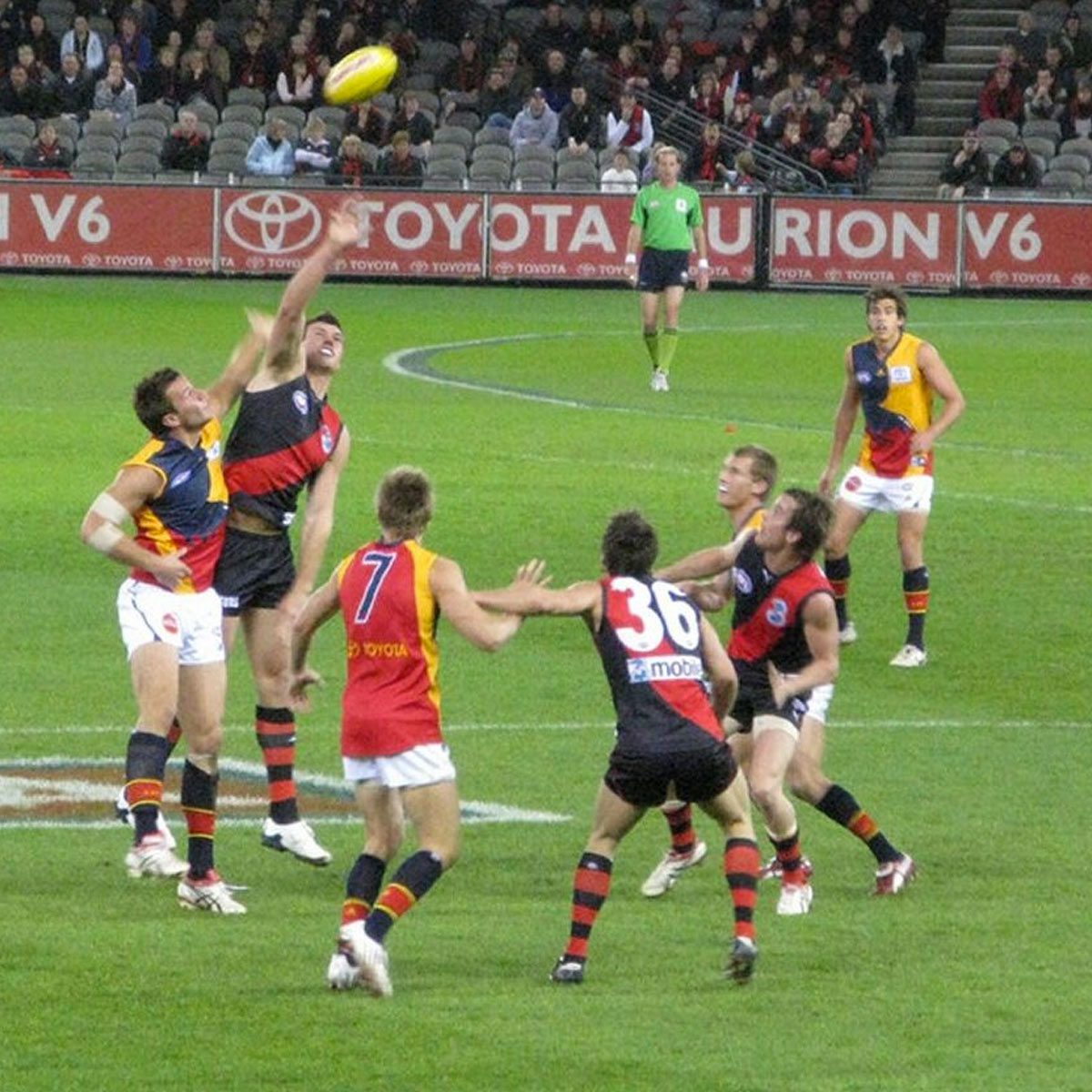 A History AFL's Adelaide Crows