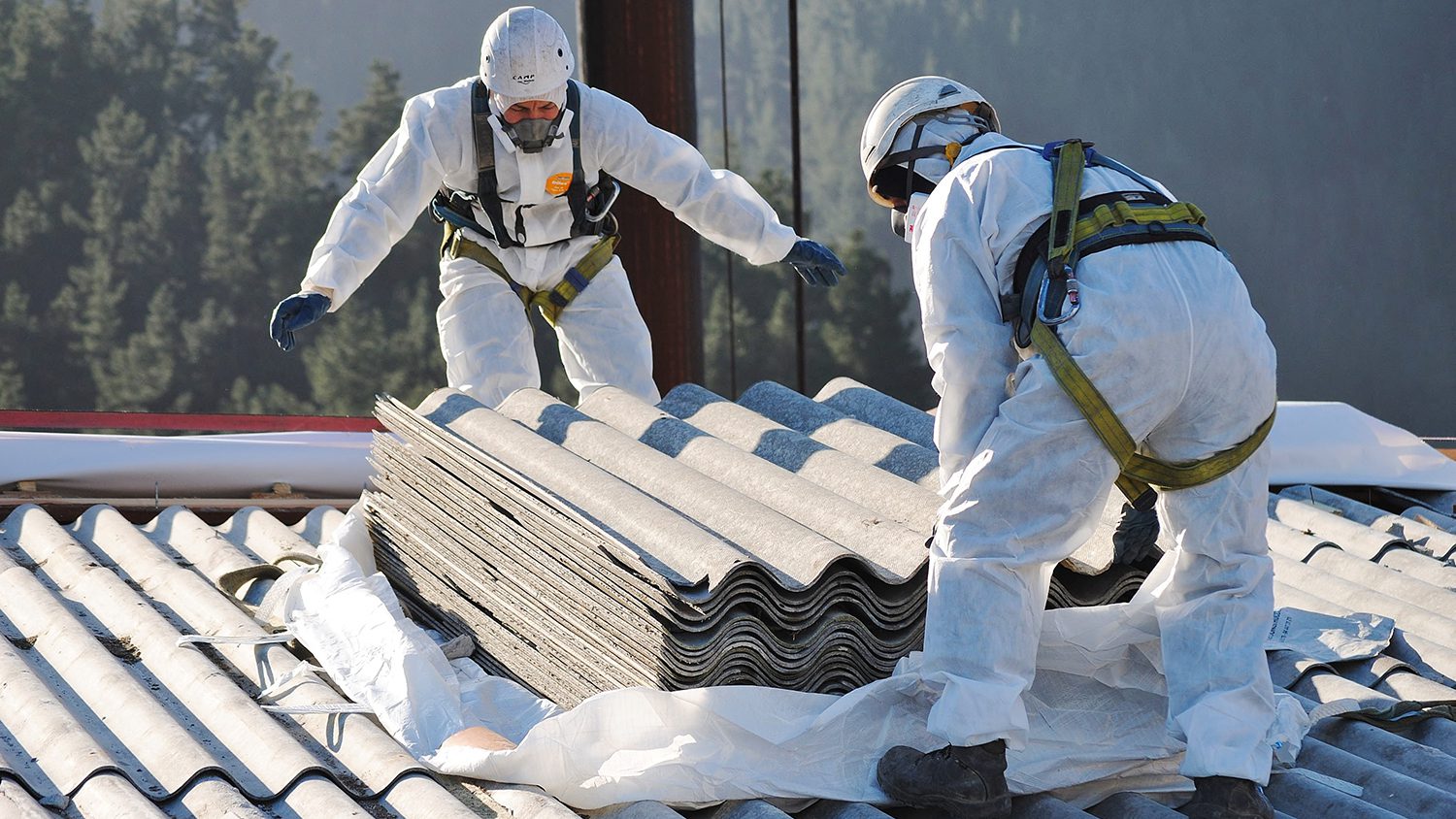 Tips for Dealing With Asbestos Exposure in the Workplace