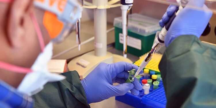 Infectious Disease Testing by Real-Time PCR