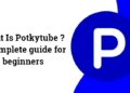 Exploring the Exciting Features of PotkyTube: A User’s Guide