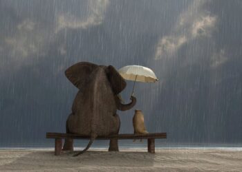 The Power of Community How Small Acts of Kindness Can Make a Big Difference