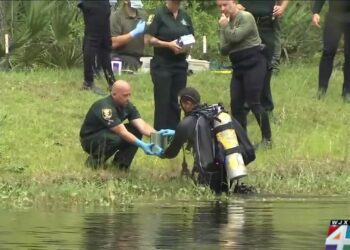 Tristyn Bailey Autopsy: Unveiling the Truth Behind a Tragic Loss