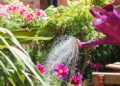 Blossom with Care: How Spray Irrigation Brings Gardens to Life