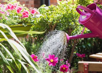 Blossom with Care: How Spray Irrigation Brings Gardens to Life