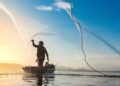 Key Points for Success in Coastline Fishing Business