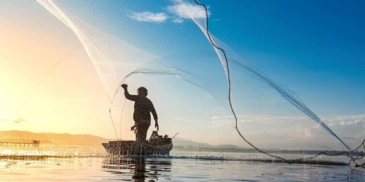 Key Points for Success in Coastline Fishing Business