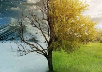 Common Climate Issues in Pakistan and Canada