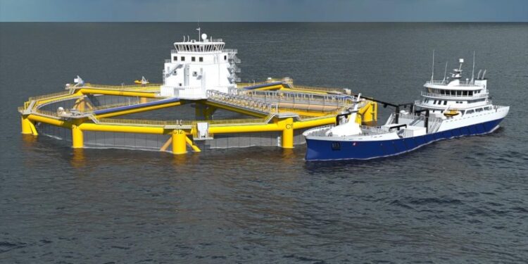 How to Increase Seafood Production with Open Sea Forums