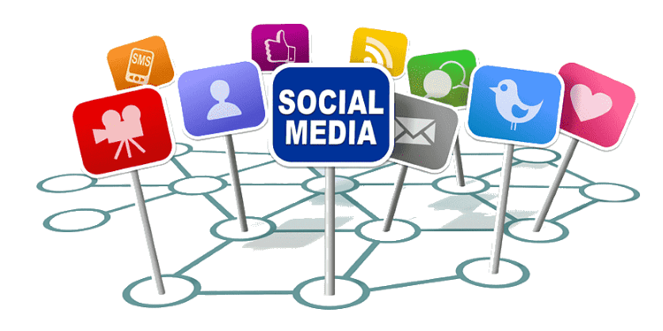 Optimizing Social Media Algorithms for Content Visibility