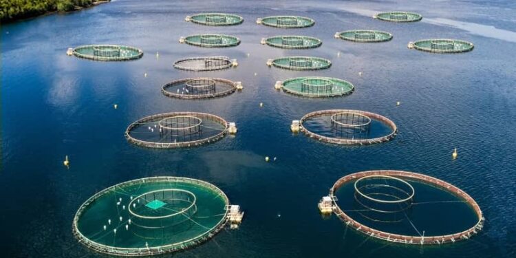 Seafood Production in South America