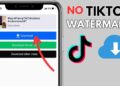 Effortless TikTok Video Downloads Without Watermarks – Your Guide to SSSTikTok