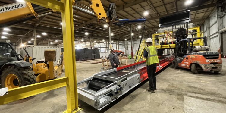 Choosing Expert Plant Relocation Services: What You Need to Know