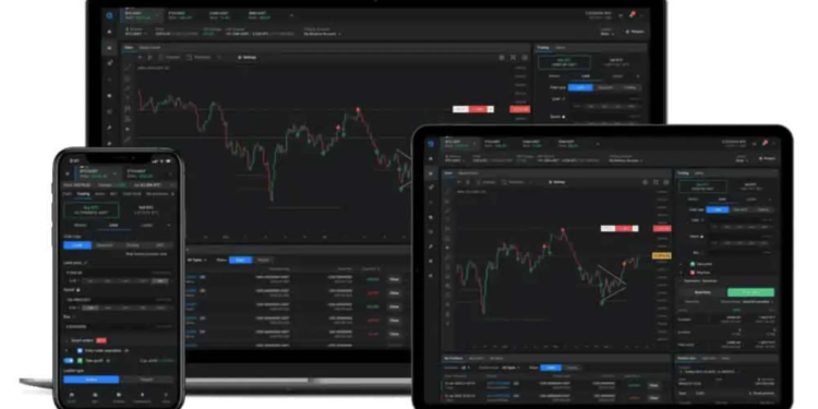 Managing Your Crypto Portfolio Efficiently with Finaster Dashboard